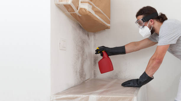 Professional Black Mold Removal technician working in Delray Beach, FL